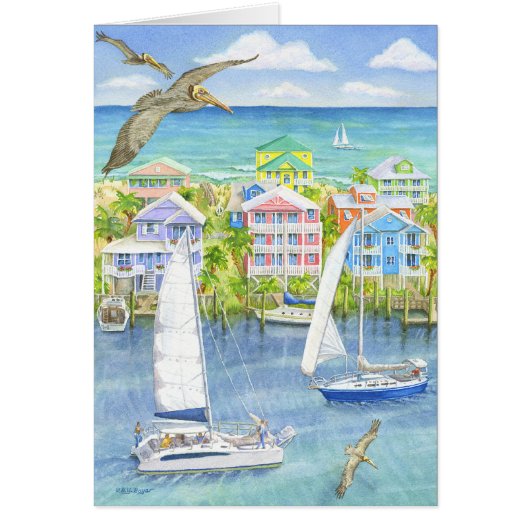 Pelican Point of View Cards (Front)