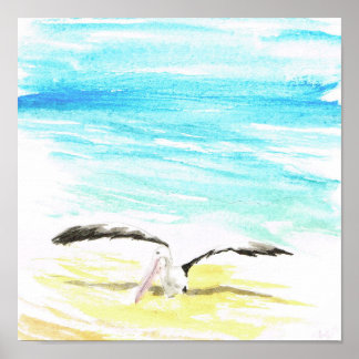 Pelican Poster