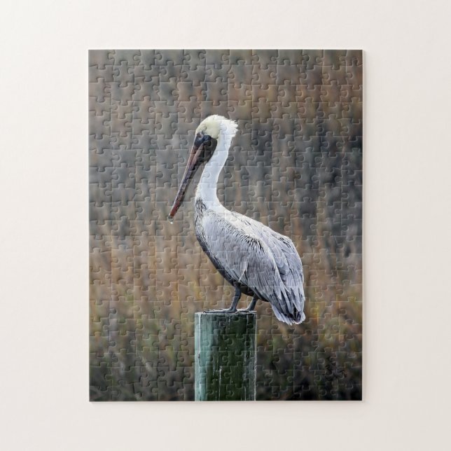 Pelican Printed Puzzle (Vertical)