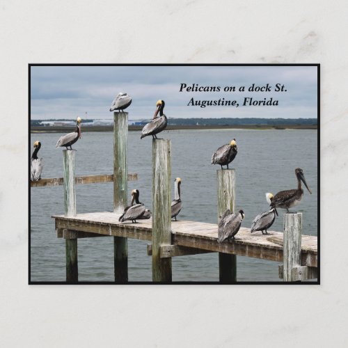 Pelican resting on a dock holiday postcard