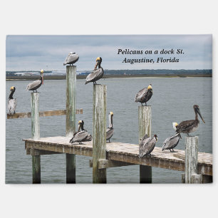 Pelican resting on a dock magnet