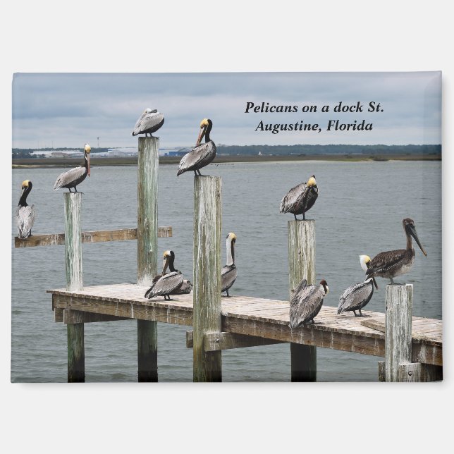 Pelican resting on a dock magnet (Front)