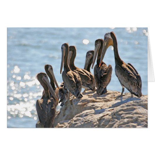 Pelican Rock Cards (Front Horizontal)