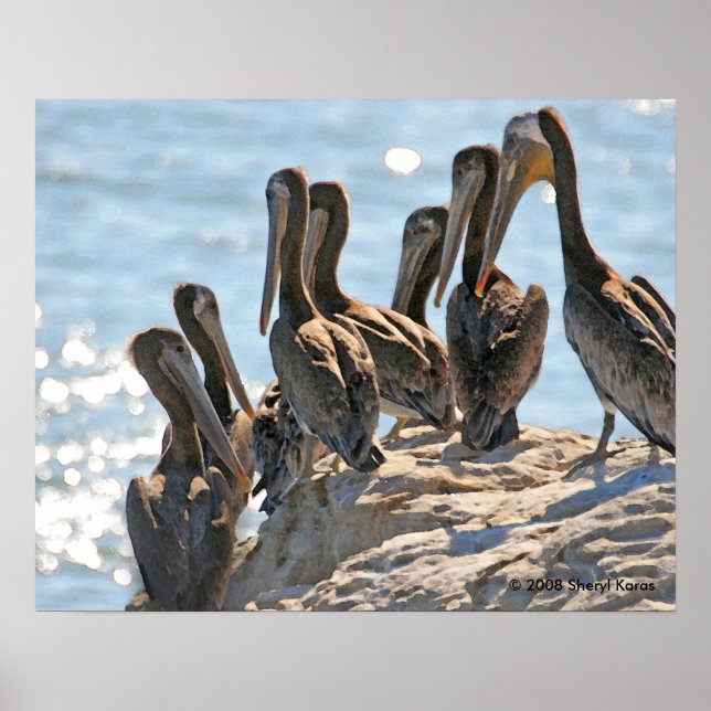 Pelican Rock Poster (Front)