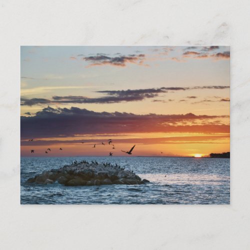Pelican Rock Sunset Dauphin Island Alabama Postcard