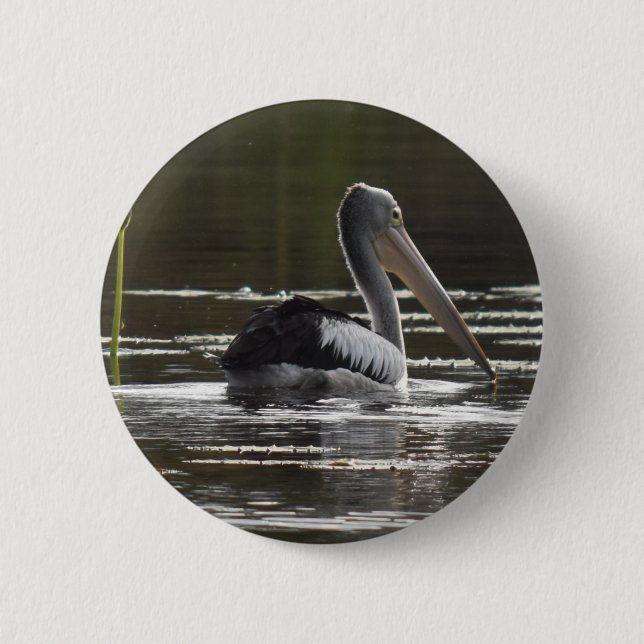 PELICAN RURAL QUEENSLAND AUSTRALIA PINBACK BUTTON (Front)