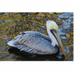 Pelican sculpture<br><div class="desc">Brown pelican on the water</div>