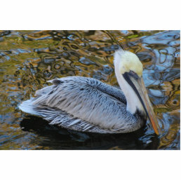 Pelican sculpture