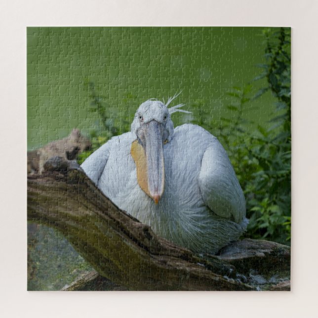 Pelican Serenity A Captivating Gaze Jigsaw Puzzle (Vertical)