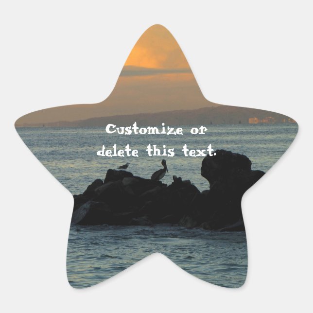 Pelican Silhouette; Customizable Star Sticker (Front)