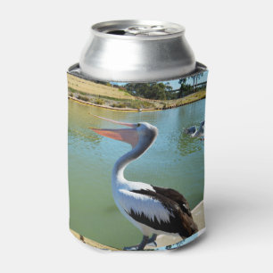 Pelican Singing A Song, Can Cooler