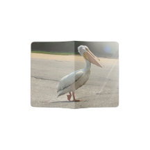 Pelican Spirit Animal Crossing the Road Photograph