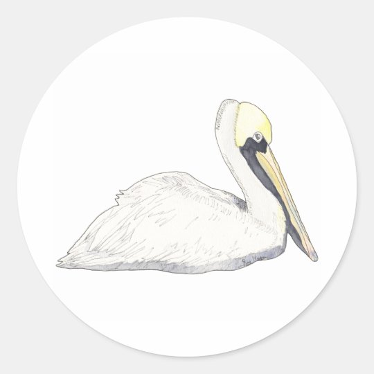 Pelican Sticker