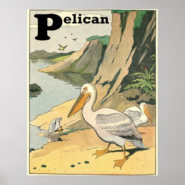 Pelican Story Book Alphabet Poster (Front)