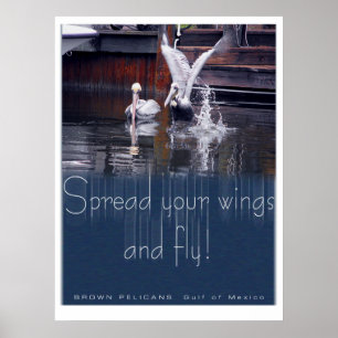 Pelican Takeoff Poster