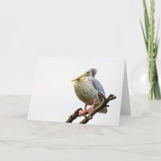 Pelican, Tanzania Card