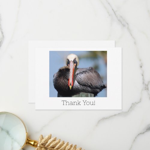 Pelican Thank you card