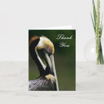 Pelican - Thank You Card by jonicool at Zazzle