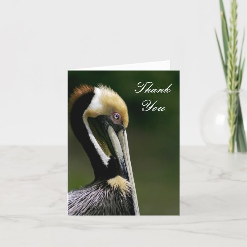 Pelican _ Thank You Card