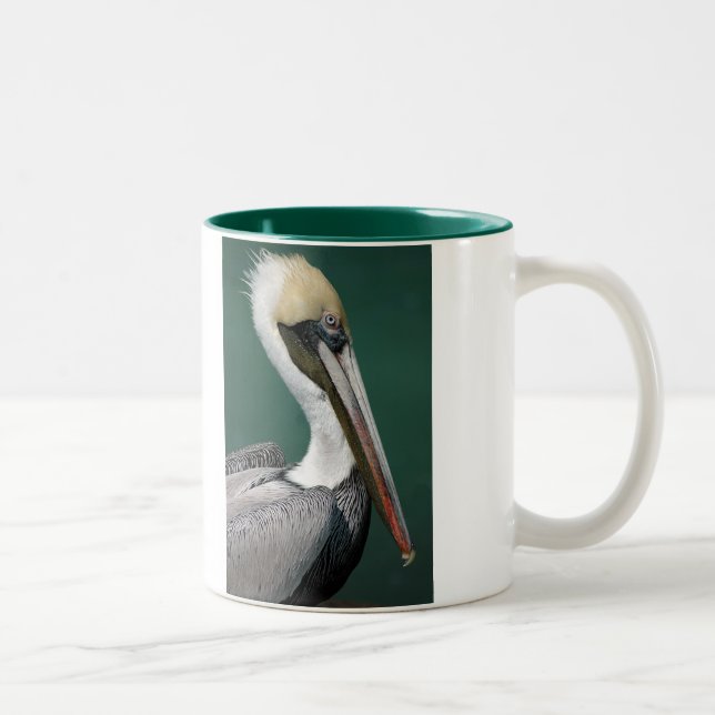 Pelican Two-Tone Coffee Mug (Right)