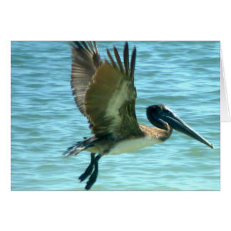 Pelican Watch Cards