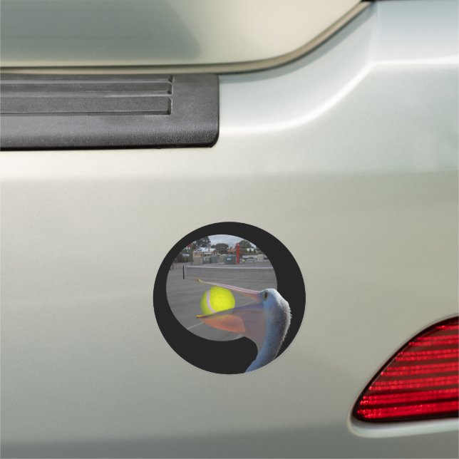 Pelican With A Tennis Ball, Round Car Magnet (In Situ)