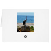 Pelican With The Look, (Back Horizontal)