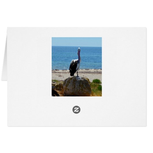 Pelican With The Look, (Back Horizontal)