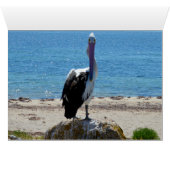 Pelican With The Look, (Inside Horizontal (Bottom))