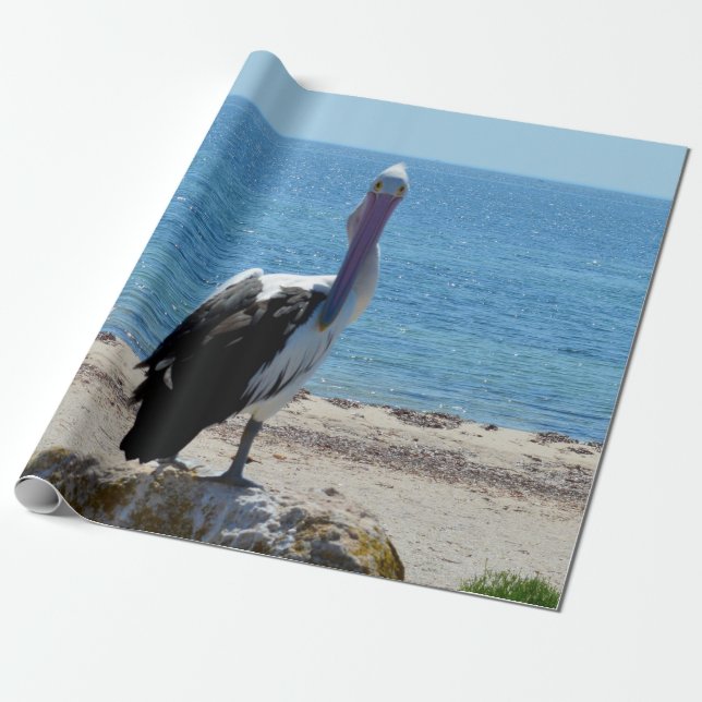 Pelican With The "Look",  Gift Wrap Paper (Unrolled)