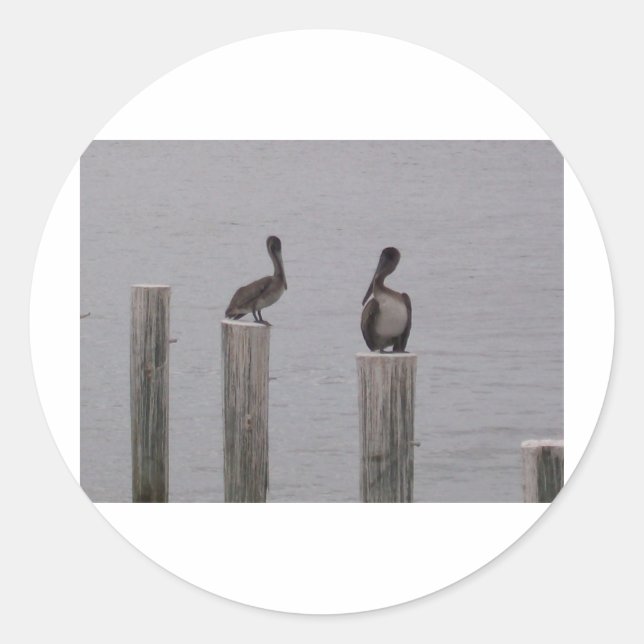 Pelicans 3 classic round sticker (Front)