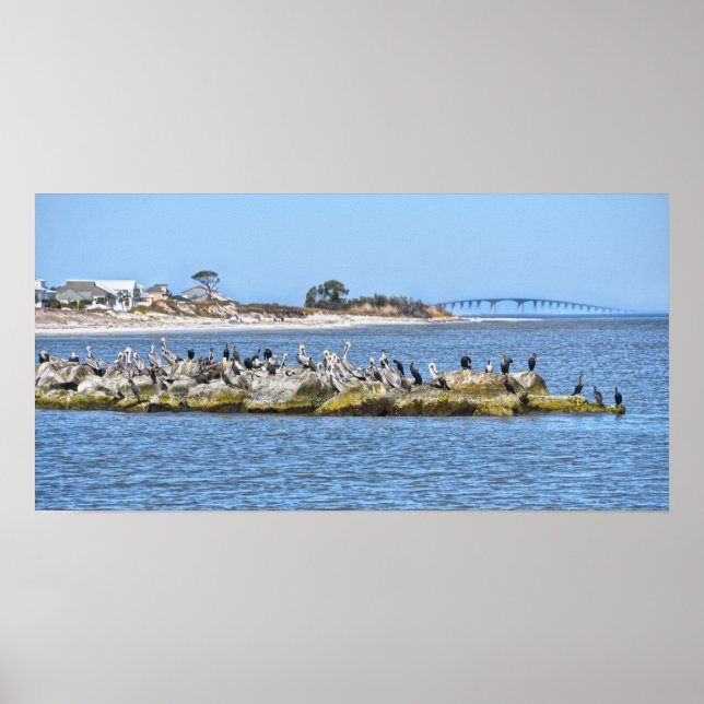 Pelicans and Cormorants and Dauphin Island Bridge Poster (Front)