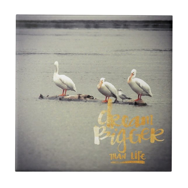Pelicans and Seagull Dream Bigger Ceramic Tile (Front)