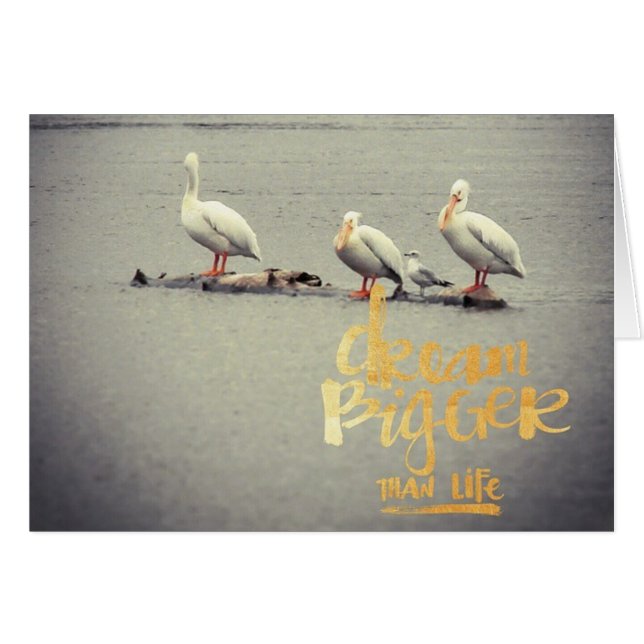 Pelicans and Seagull Dream Bigger Inspiring Cards (Front Horizontal)