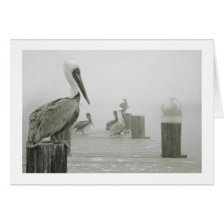 Pelicans and Shrimp boat Cards