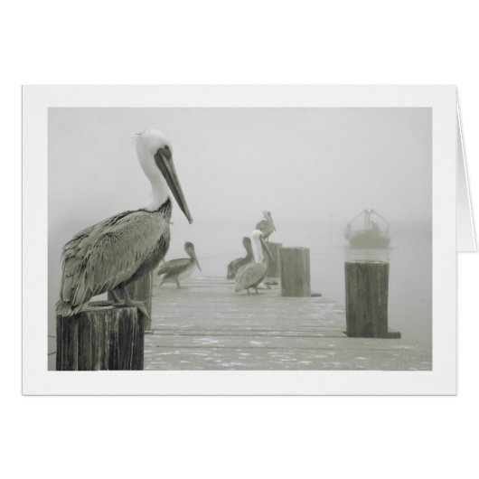 Pelicans and Shrimp boat Cards (Front Horizontal)