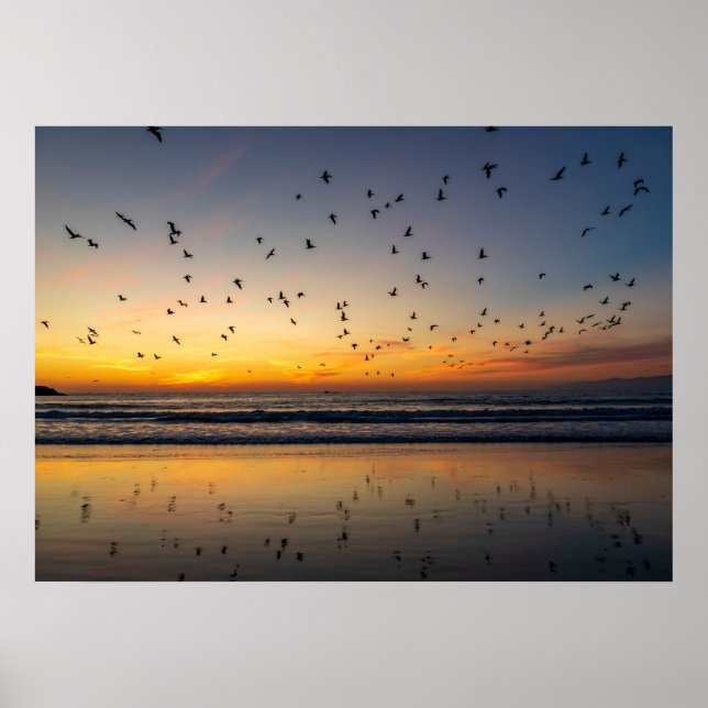 Pelicans at Sunset - Venice Beach, CA Poster (Front)