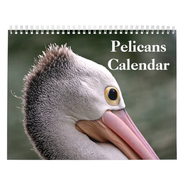 Pelicans Bird 2026 Calendar (Cover)