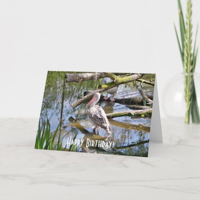 PELICANS CARD (Front)