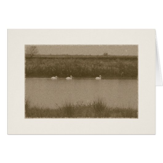pelicans cards (Front Horizontal)