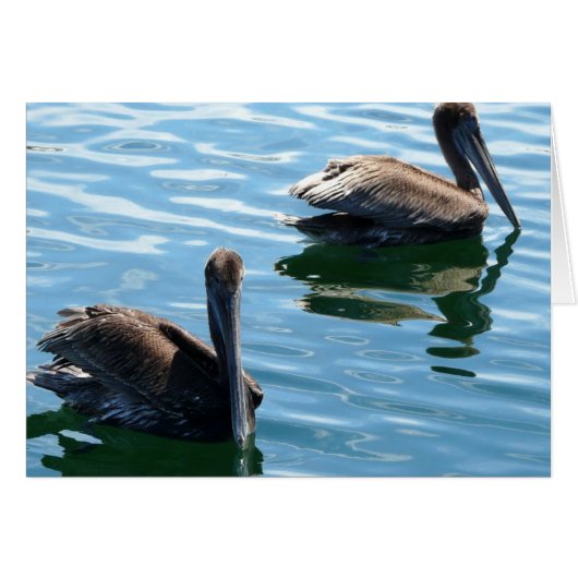 Pelicans Cards (Front Horizontal)
