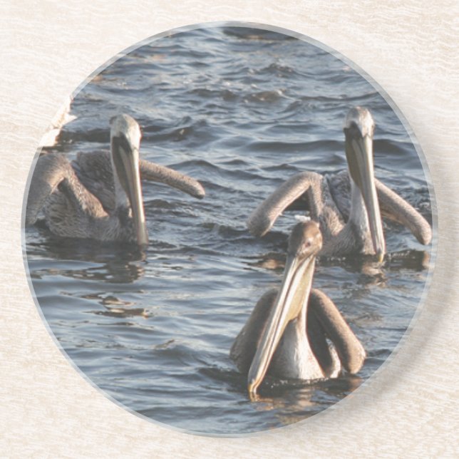 Pelicans Coaster (Front)