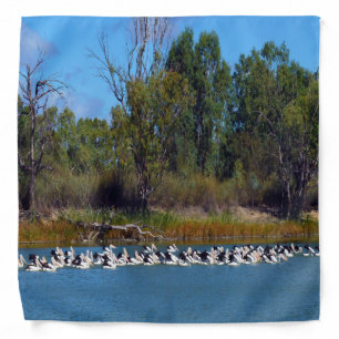 Pelicans Fishing River Murray Australia, Bandana