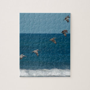 Pelicans flying in formation, Costa Rica Jigsaw Puzzle
