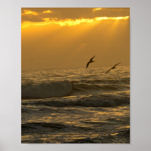 Pelicans Flying Over Ocean Sunrise Photo Poster