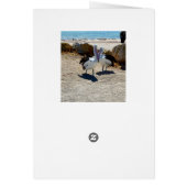 Pelicans In Love, (Back)