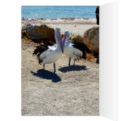 Pelicans In Love, (Inside (Left))