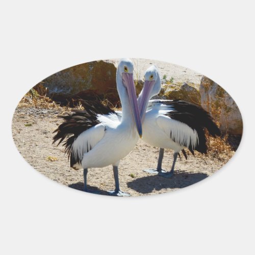 Pelicans In Love Oval Sticker