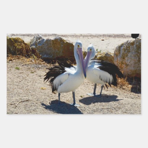 Pelicans In Love Rectangular Sticker