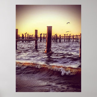 Pelicans in the Bay Poster